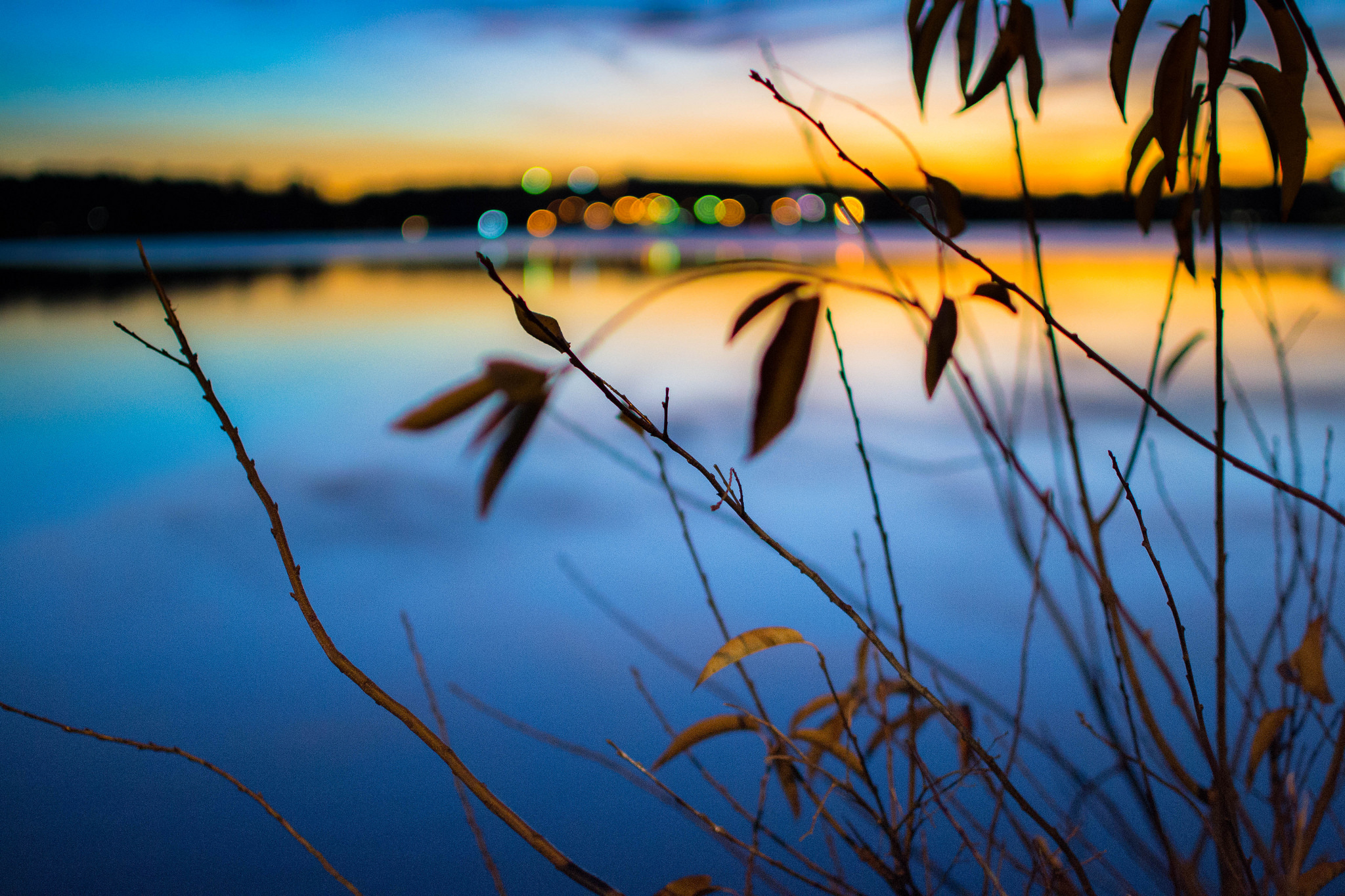 Lake and nature